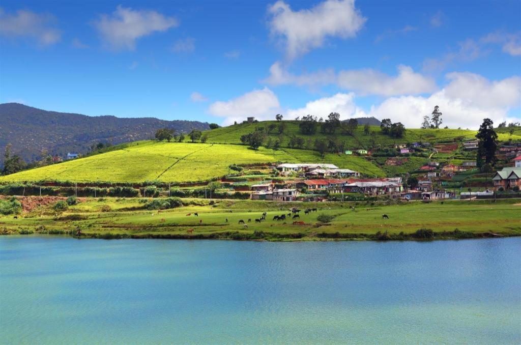 Firsmead Nuwara Eliya Exterior foto